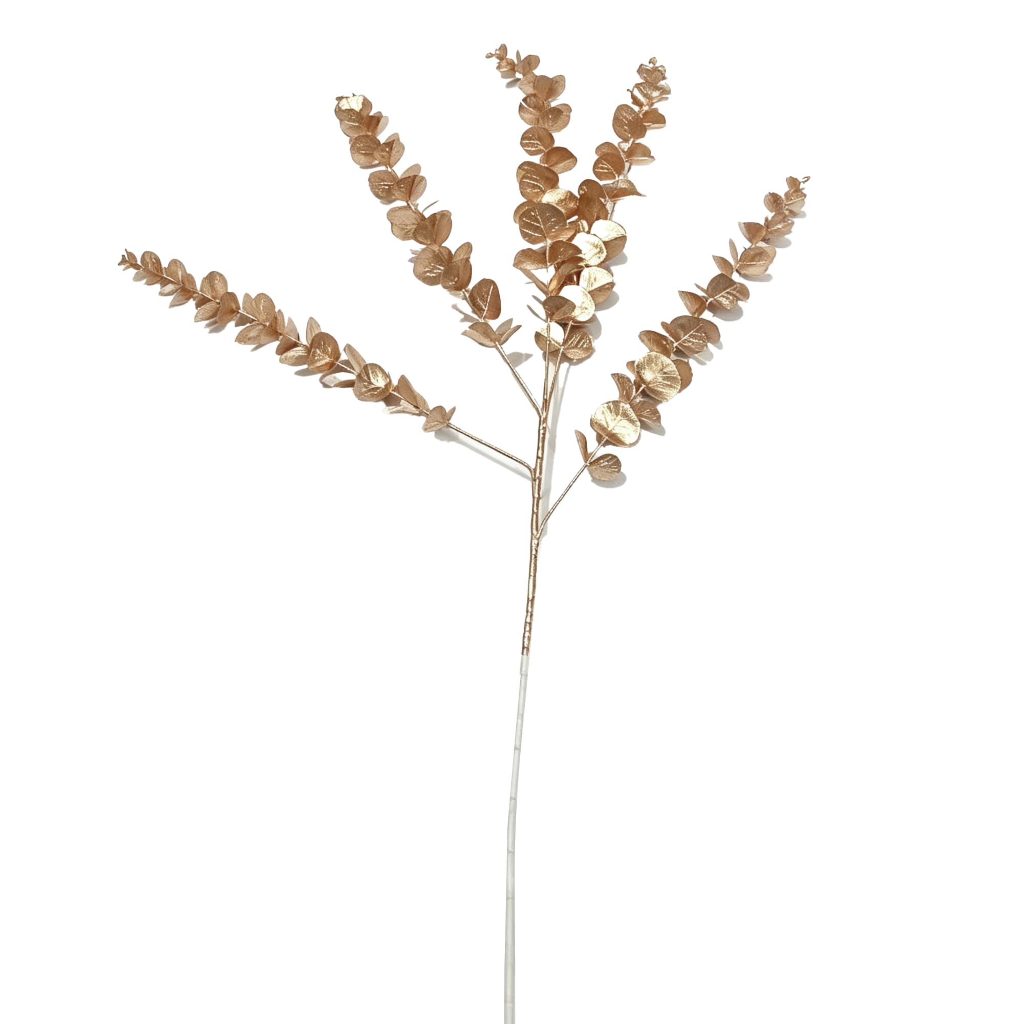5-Branch Eucalyptus