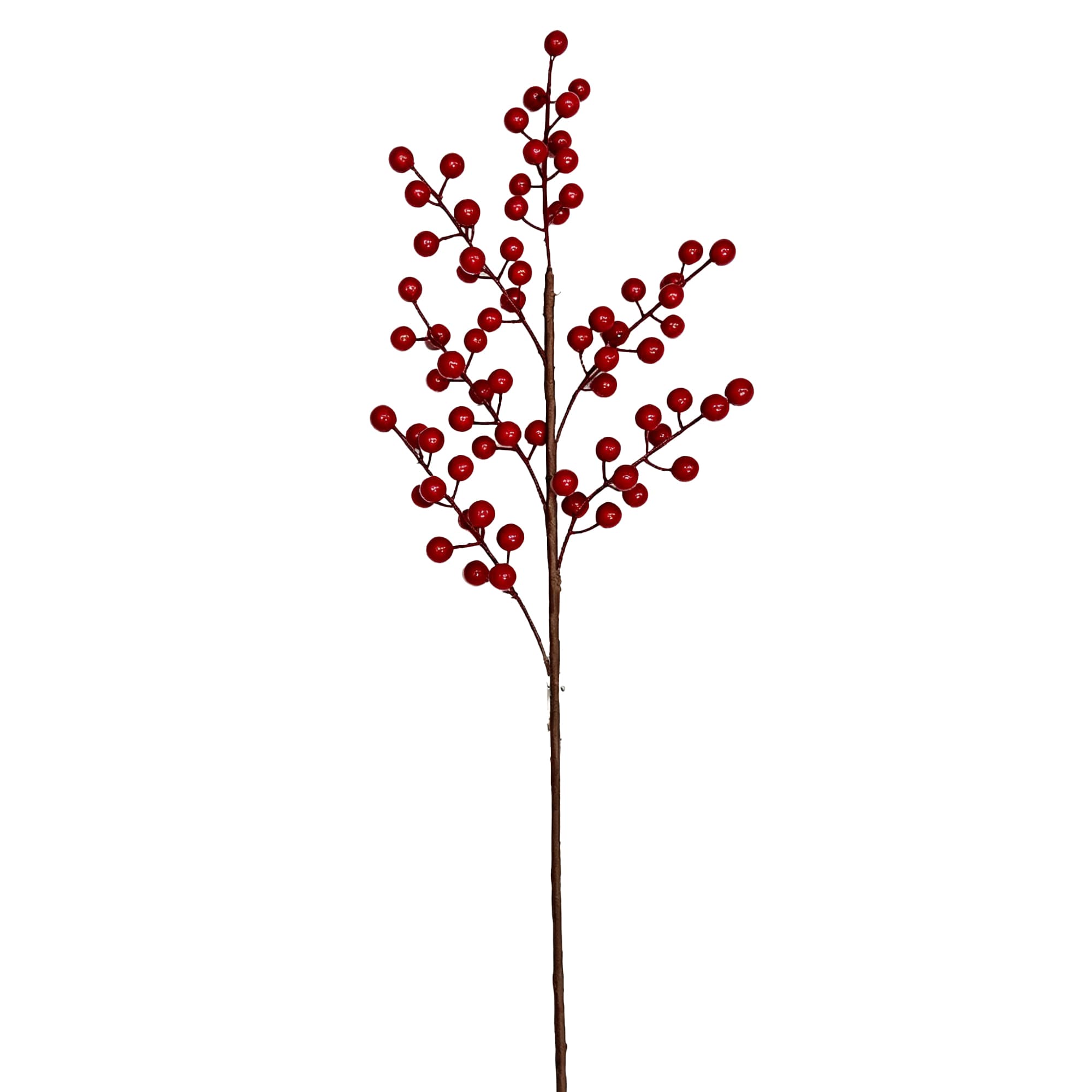 6-Branch Berry Holly — image 1