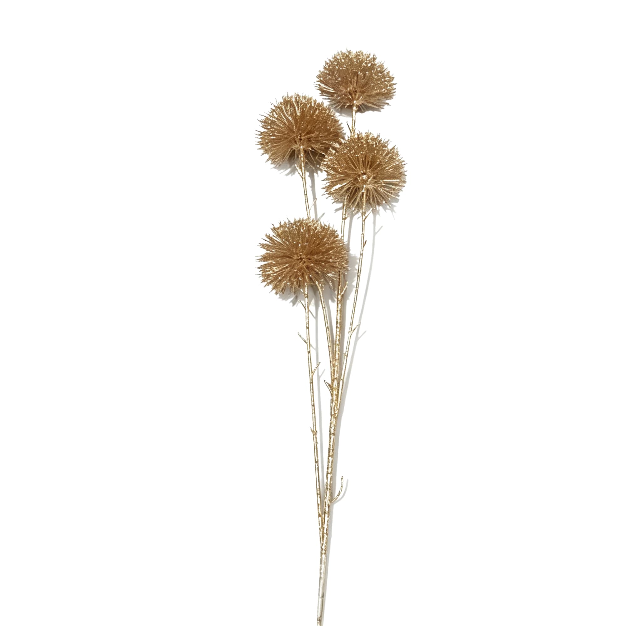 4-Head Hydrangea
