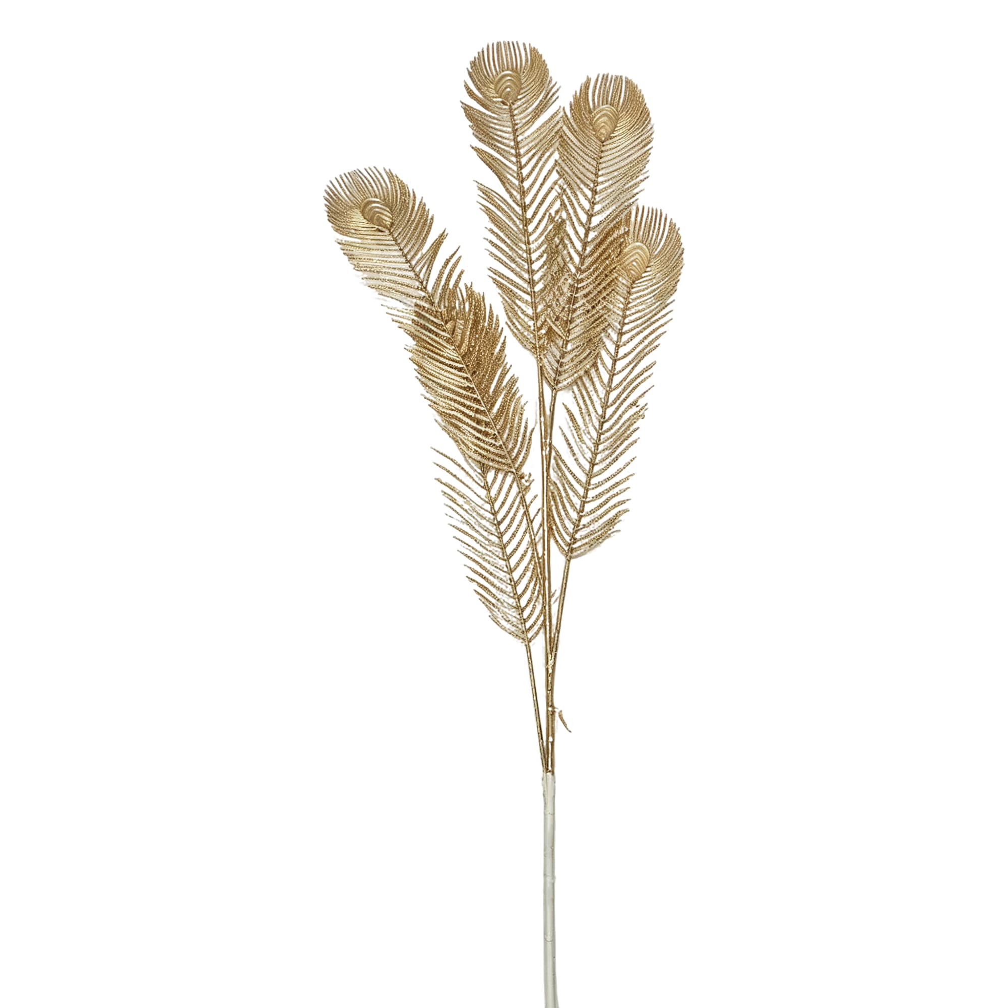 5-Branch Fishtail Fern — image 1