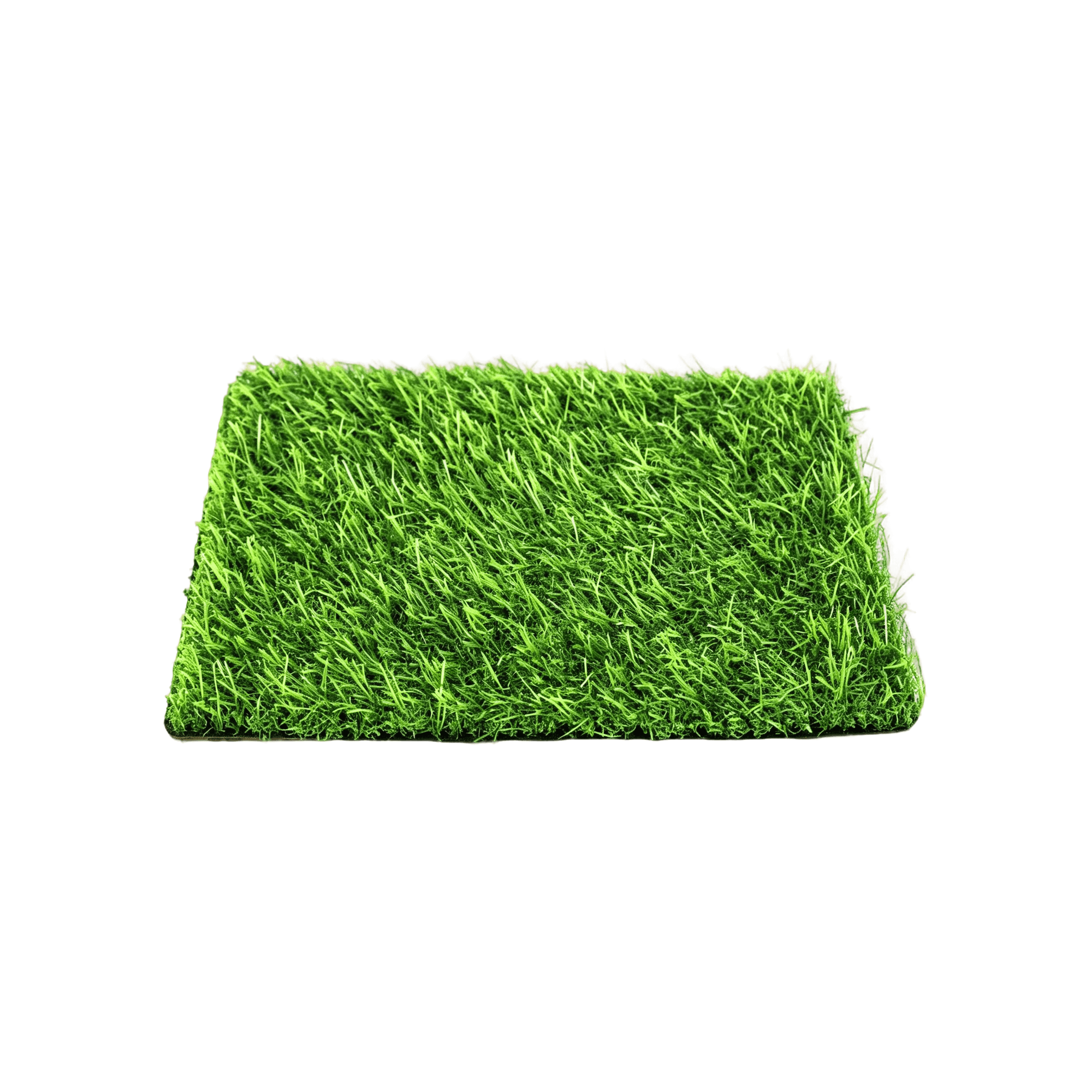 Synthetic Turf Carpet — image 1