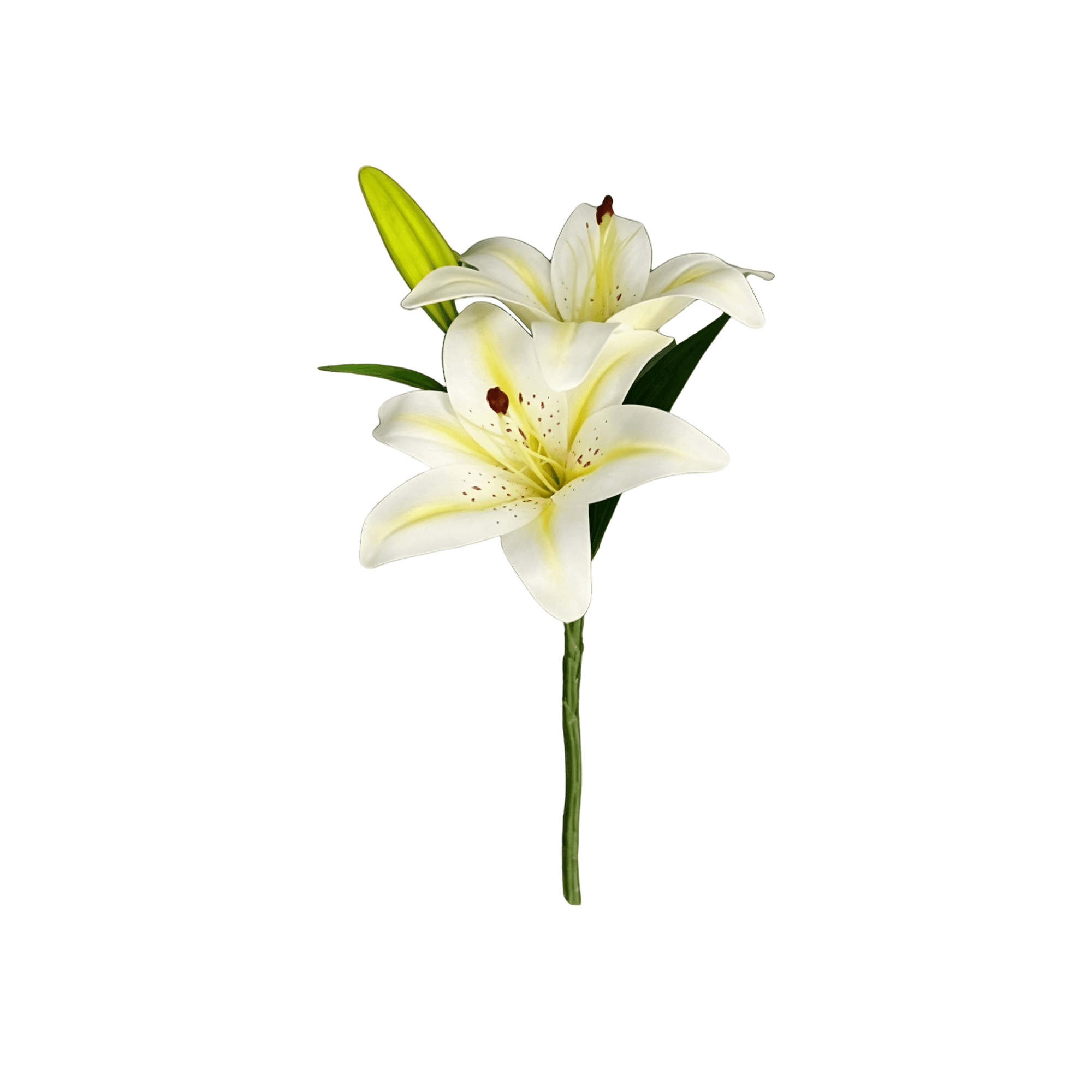 3D Real-Touch Lily