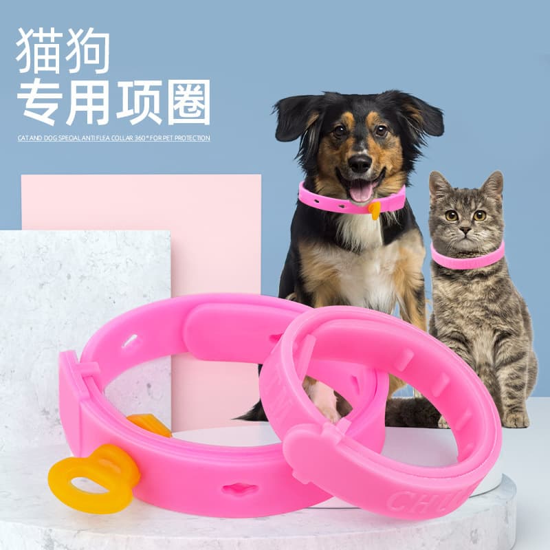Cat Collar Dog Collar Pet Ring