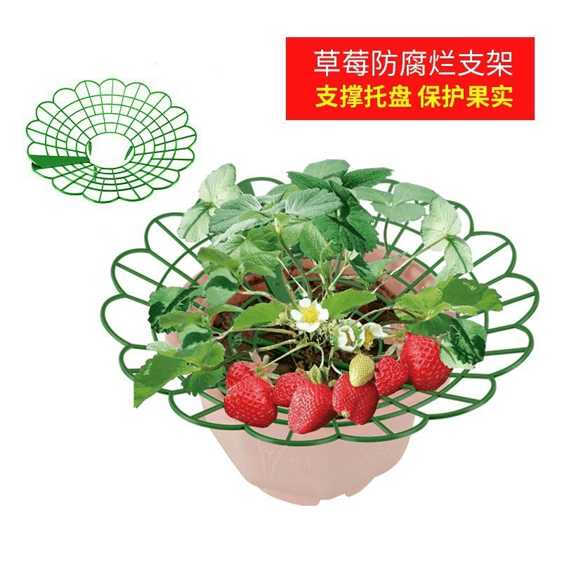 Strawberry Garden Support Bracket Balcony Gardening Round Home Spliced Pot Fruit Support Stand