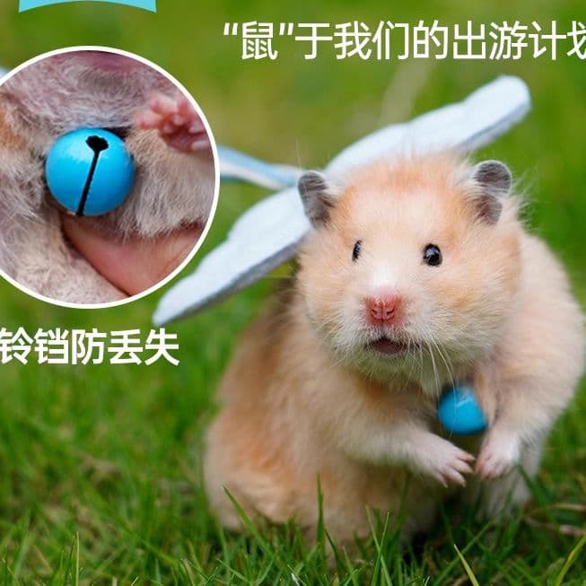 Hamster harness and lead for hamsters, guinea pigs, rabbits, and Dutch pigs