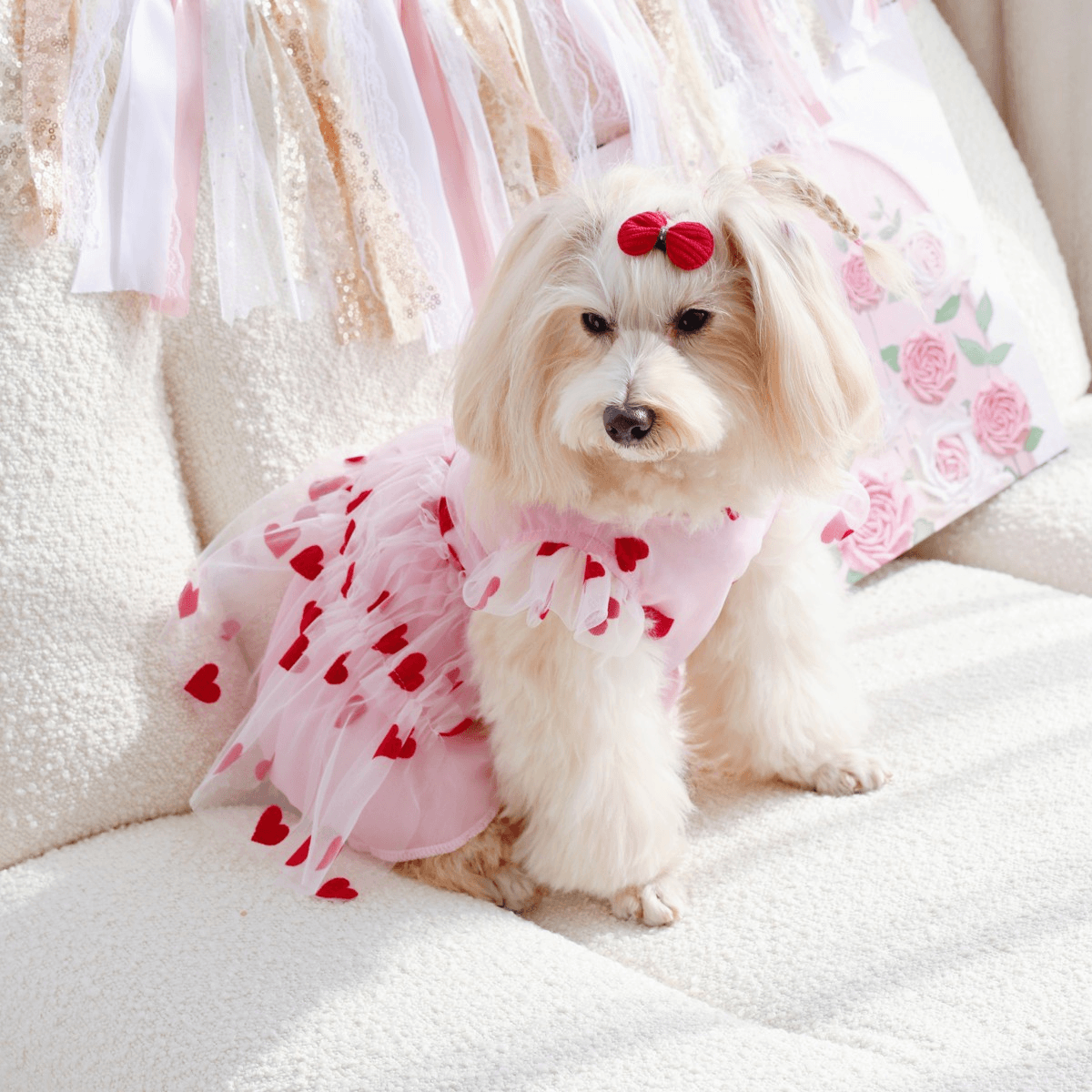 Summer lightweight dog dress for small breeds, princess style with heart print and mesh