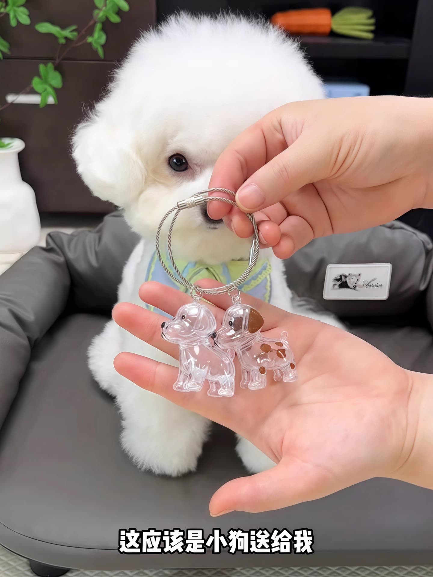 Transparent cute puppy hair storage keychain charm for backpacks and bags