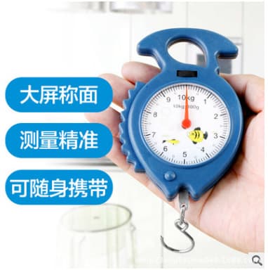 Spring Scale Hanging Scale Small Portable Hook Scale for Home Luggage Scale High Precision Mini Luggage Scale