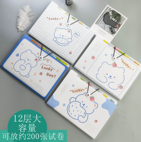 A4 Expanding File Folder