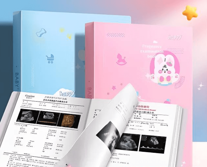 Pregnancy Check-up Record Organiser Folder