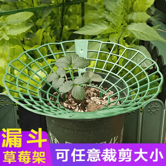 Strawberry Tray Rack Cultivation Stand Planting Bracket Anti-Rot Tray Rack Support Hydroponic Strawberry Pot Stand