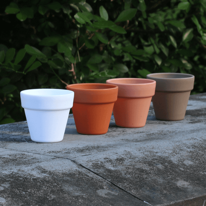 Extra-Thick Plastic Small Round Nursery Pot for Lithops & Conophytum, PP Butt Planting Pot