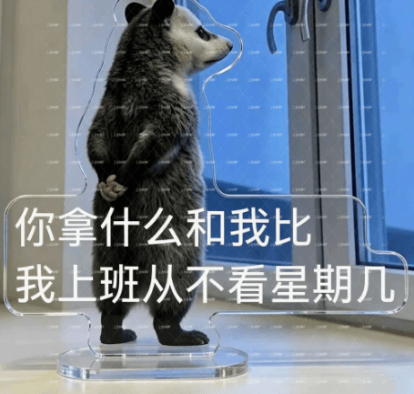 Cute Viral Possum Meme Acrylic Standee