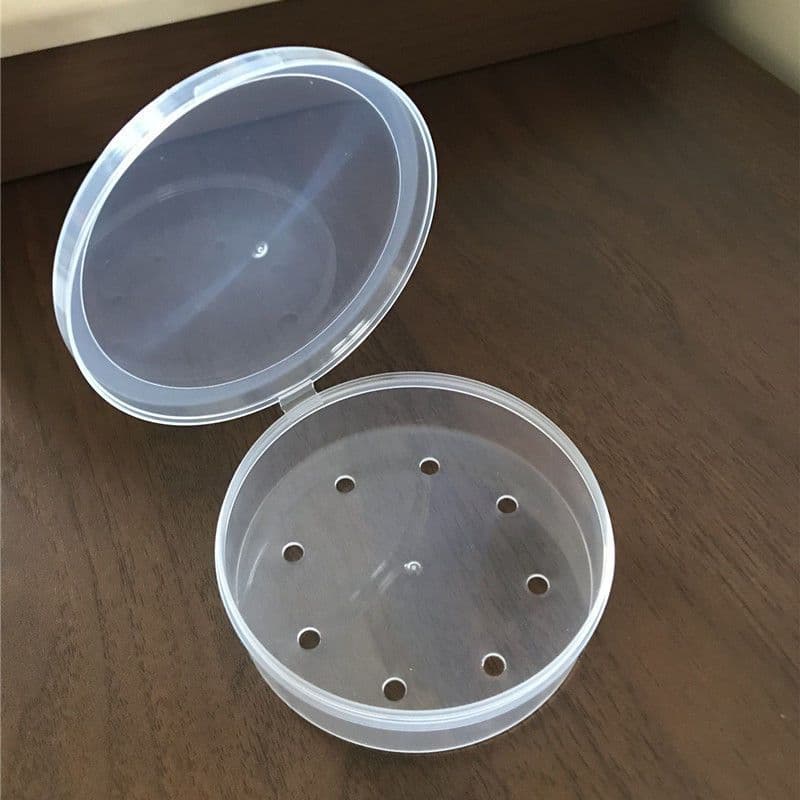 Huge Perforated Makeup Sponge Storage Box with Ventilation Holes
