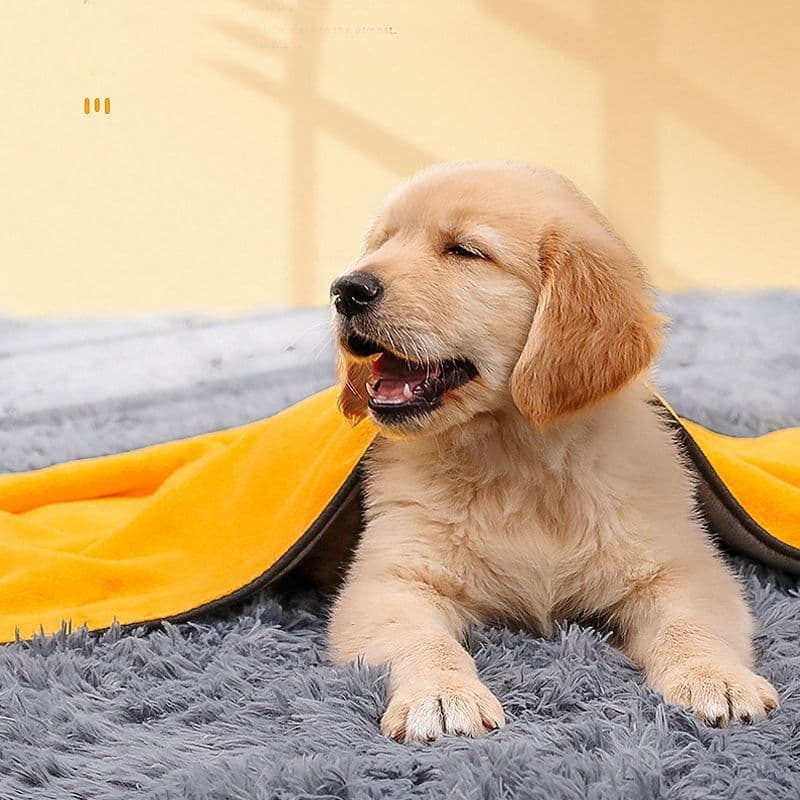 Super Absorbent Pet Towel for Dogs and Cats, Extra Large, Non-Stick, No Shedding, Quick Dry