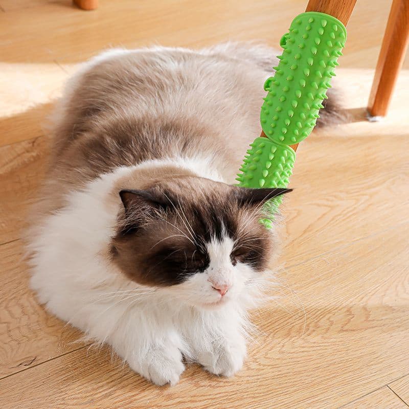 Cat Corner Scratcher and Itch Relief Wall Mounted Grooming Tool