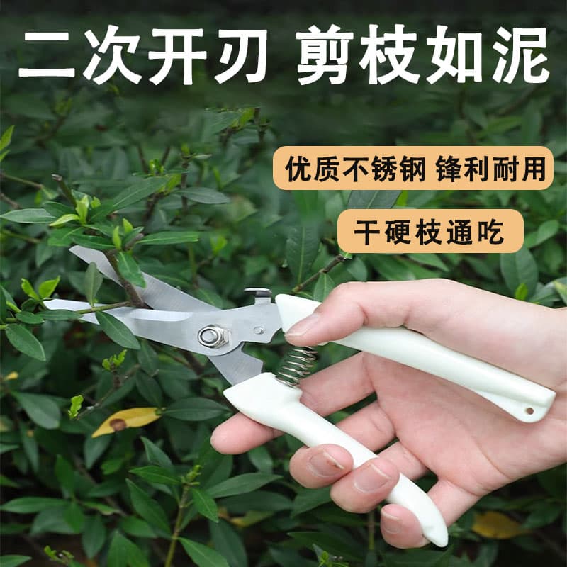 Stainless Steel Pruning Shears for Branches, Fruit Picking, Flower & Tree Trimming, Garden Scissors for Grafting