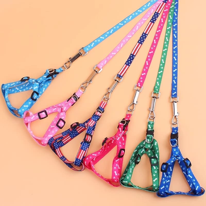 Pet lead for small dogs - anti-bite, suitable for Teddy, Pomeranian and other small breeds