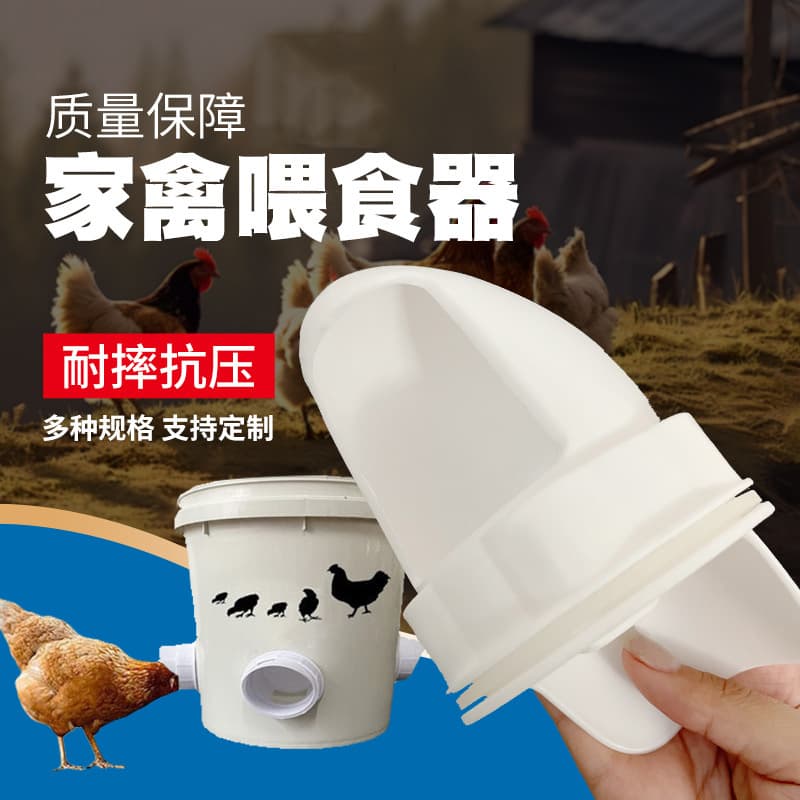 Automatic Feeder for Chickens, Ducks, Geese, and Pigeons with Trough and Poultry Drinker