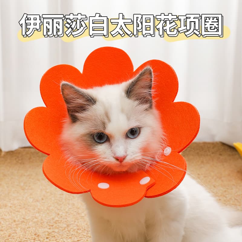 Elizabethan collar for cats, neutering cone, anti-lick, flea prevention, British Shorthair cat neck collar, head collar, dog pet supplies