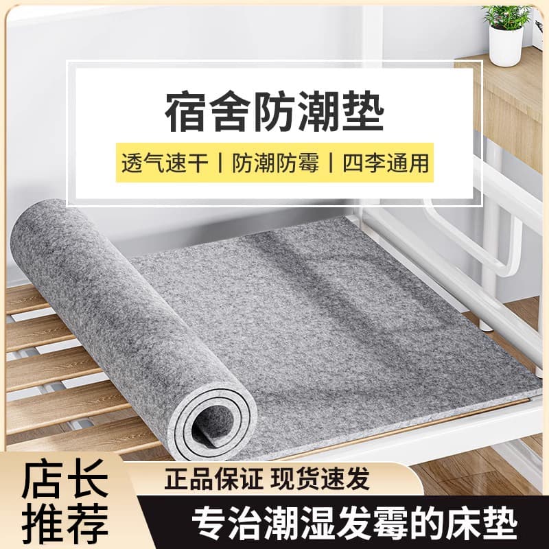 Moisture-Proof Mattress Protector for Single Bed, Student Dorm Use