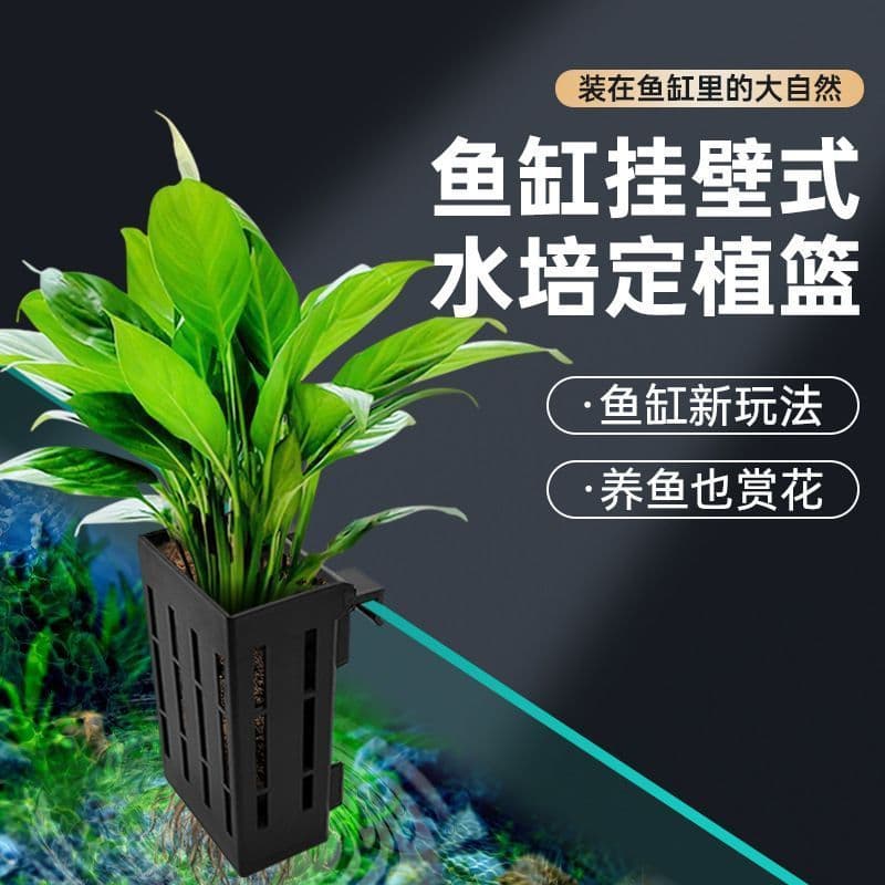 Hydroponic Fixing Basket Wall-Mounted Plant Holder for Aquarium, Water Plants, Pothos, Sweet Potato Seedlings