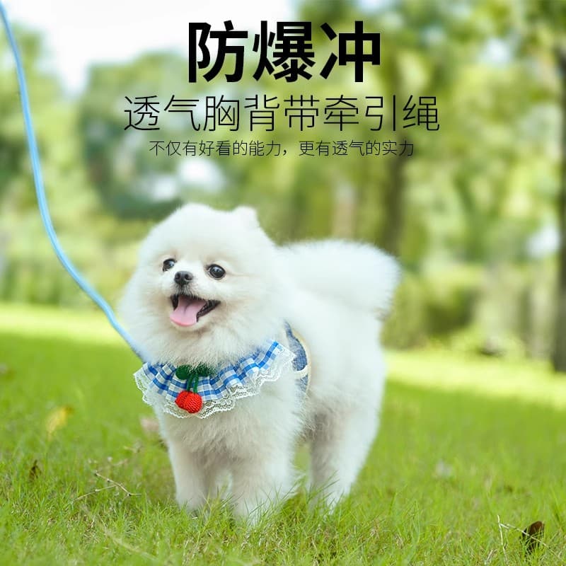 Dog Lead and Cat Harness Set for Small and Medium Breeds
