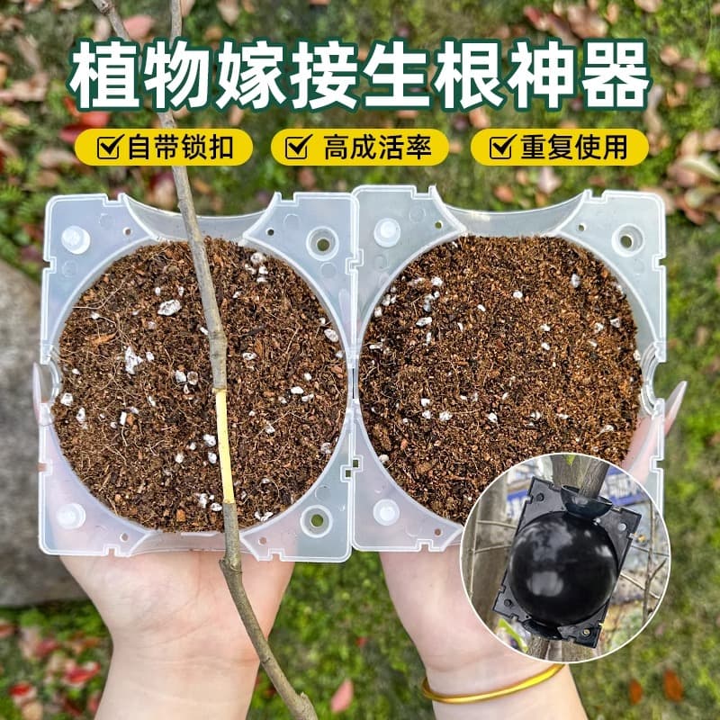 Plant Air Layering Propagation Kit