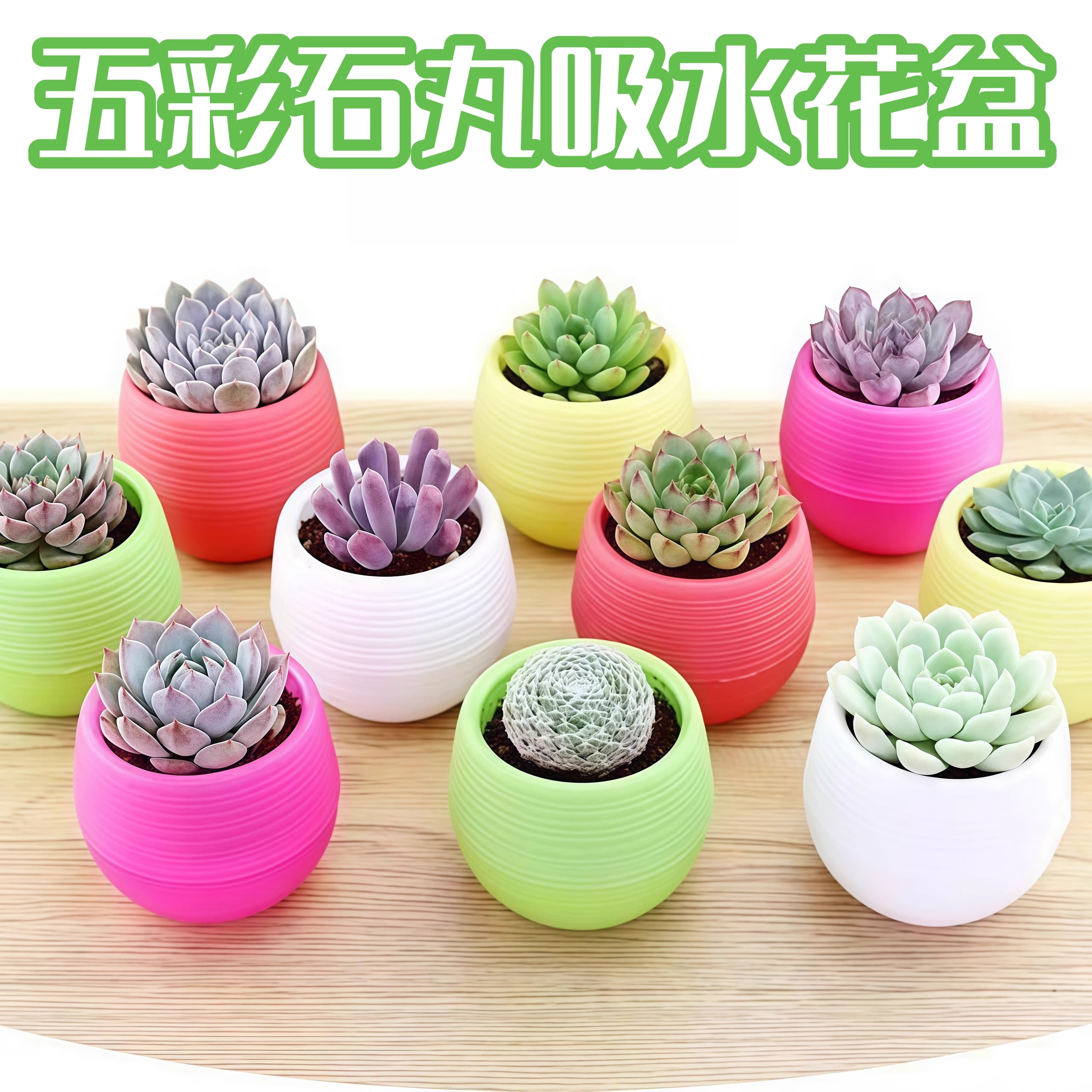 Multicolour Succulent Flower Pot, Plastic, Durable, Thickened, Breathable