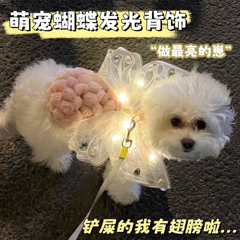 Glowing Butterfly Wing Dog Harness for Small Pets