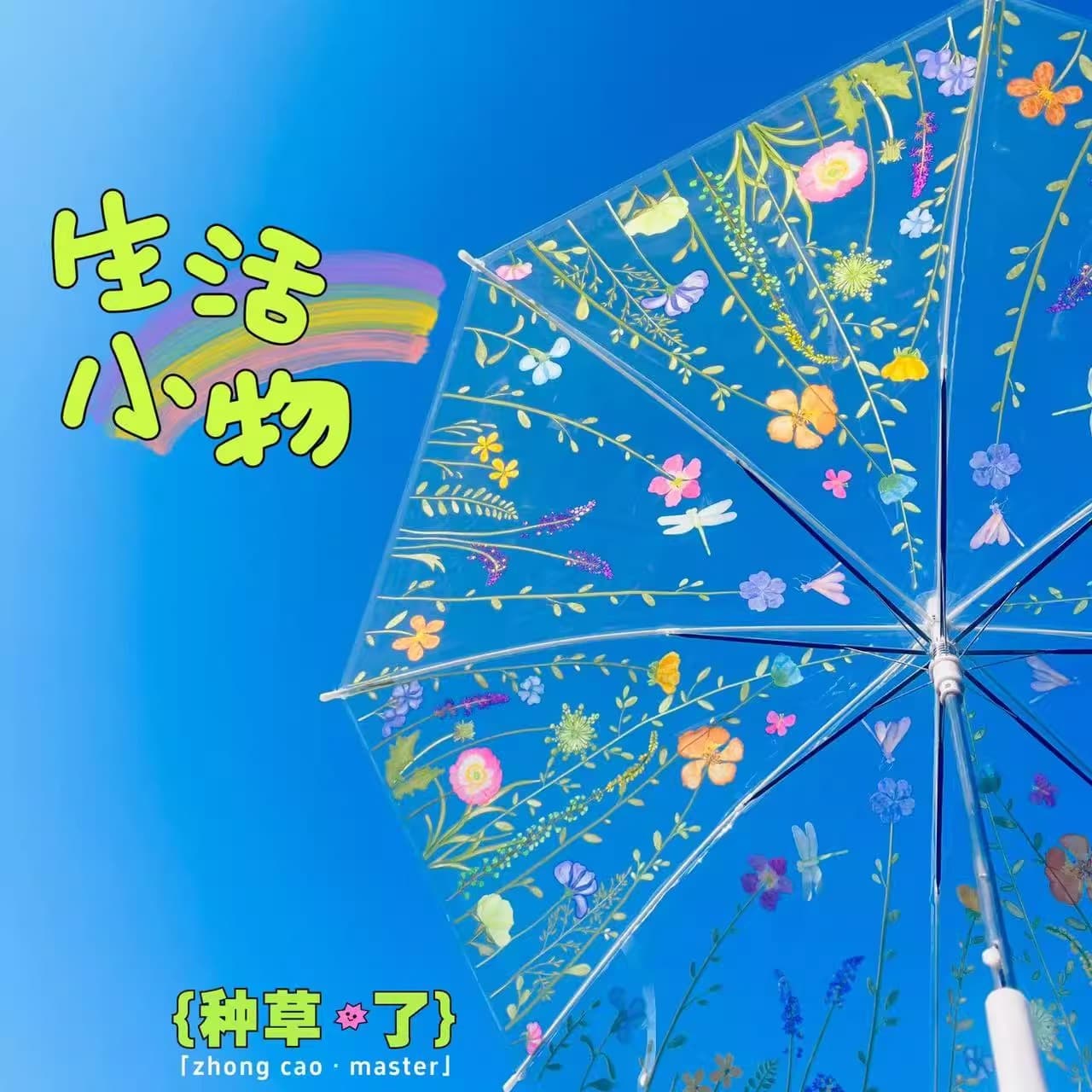 Spring Flower Auto Open Transparent Umbrella – Cute, Trendy, for Students and Women