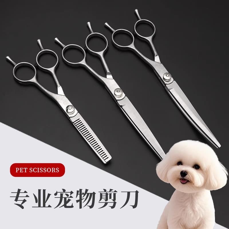 Pet grooming scissors set for home trimming – curved, straight, and thinning scissors for dogs (Teddy, Bichon)