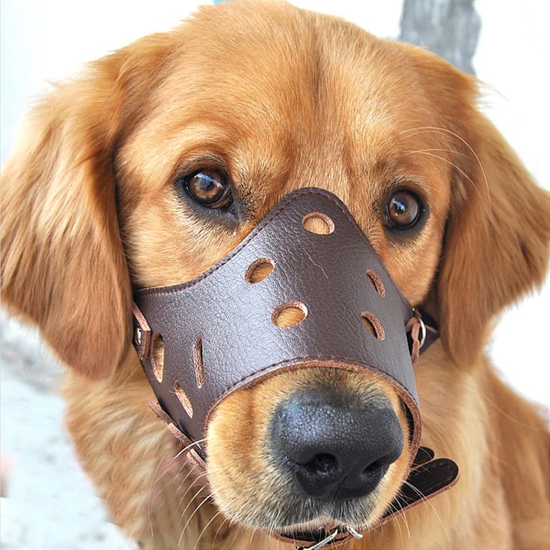 Dog Muzzle Anti-Bark Anti-Bite for Dogs