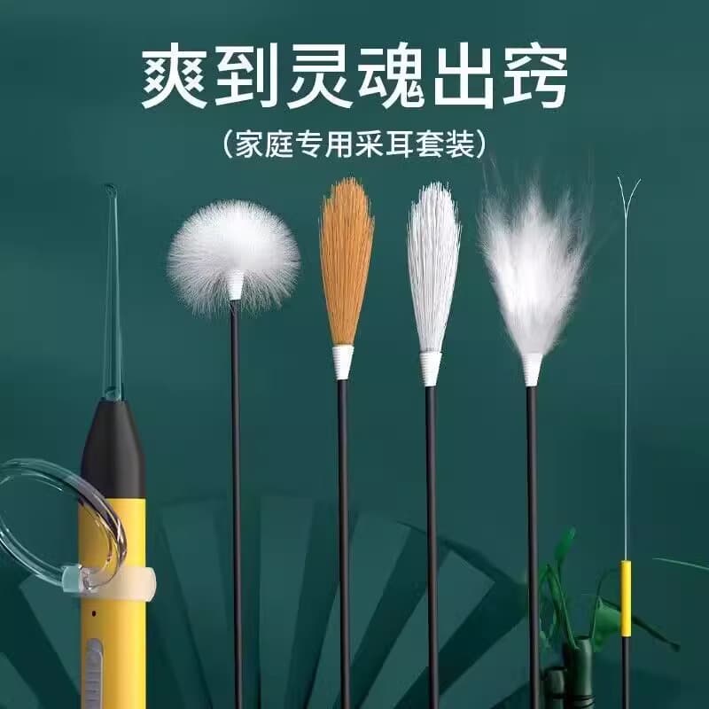 Ear cleaning tool set with goose feather sticks, professional ear pick, ear cleaning kit