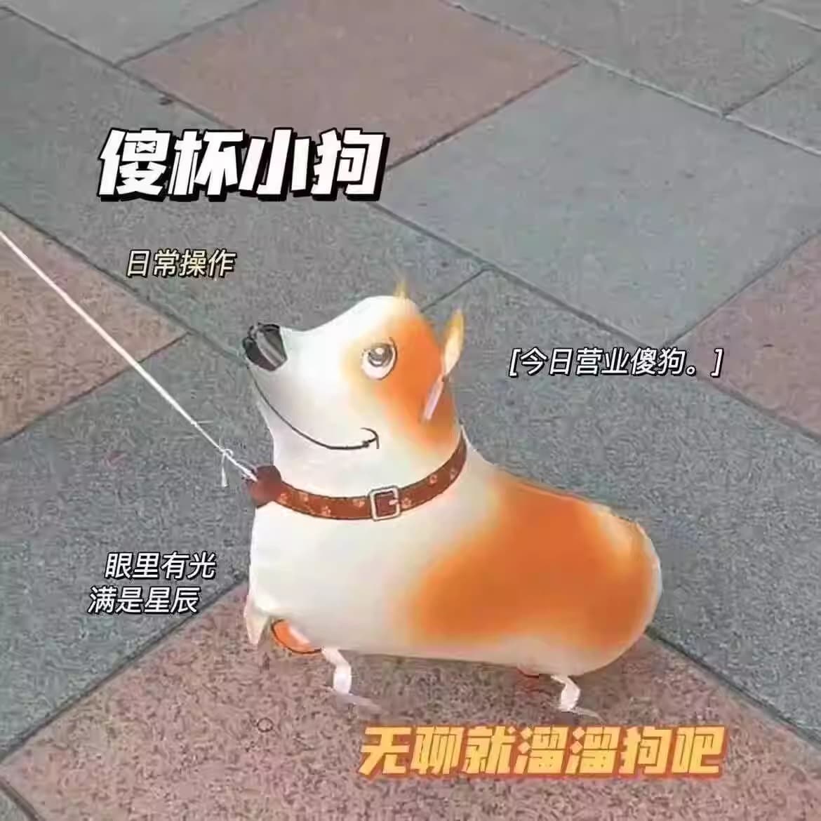 Walking Balloon Corgi Dog - Animal Balloon on Leash for Birthday Party and Graduation Props