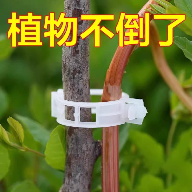 Plant Fruit Tree Fixing Clip Vine Support Clip Seedling Support Rod Fruit and Vegetable Seedling Hanging Clip