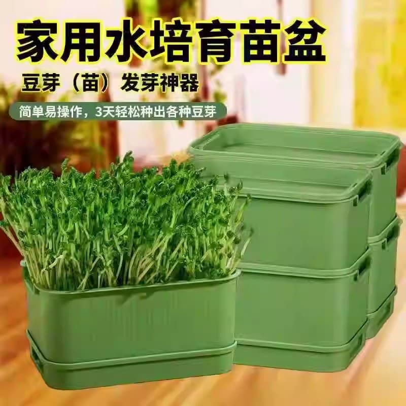 Seedling tray germination pot for home bean sprout growing