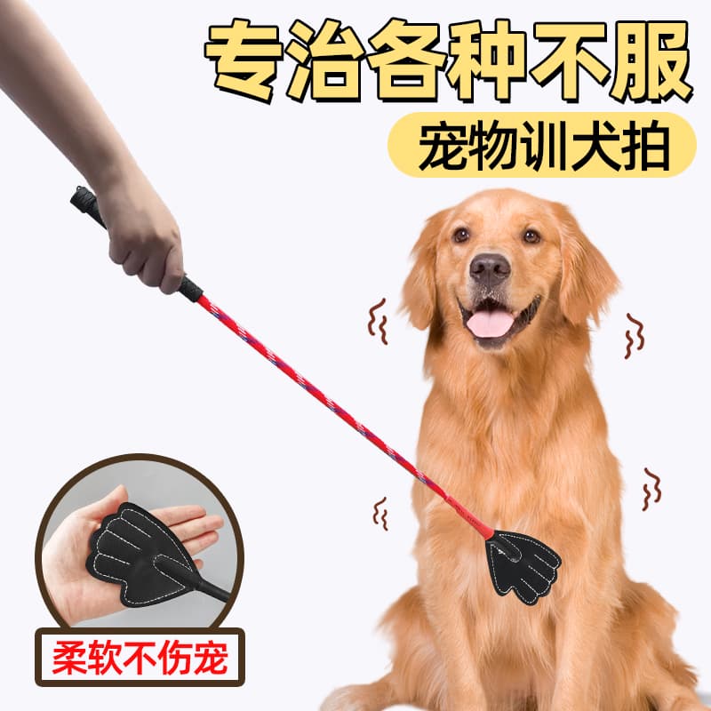 Dog Training Stick