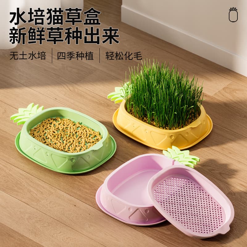 Hydroponic Cat Grass Grow Kit - Soil-Free Cat Grass Seeds, Catnip, Hairball Control, All-Season Planting
