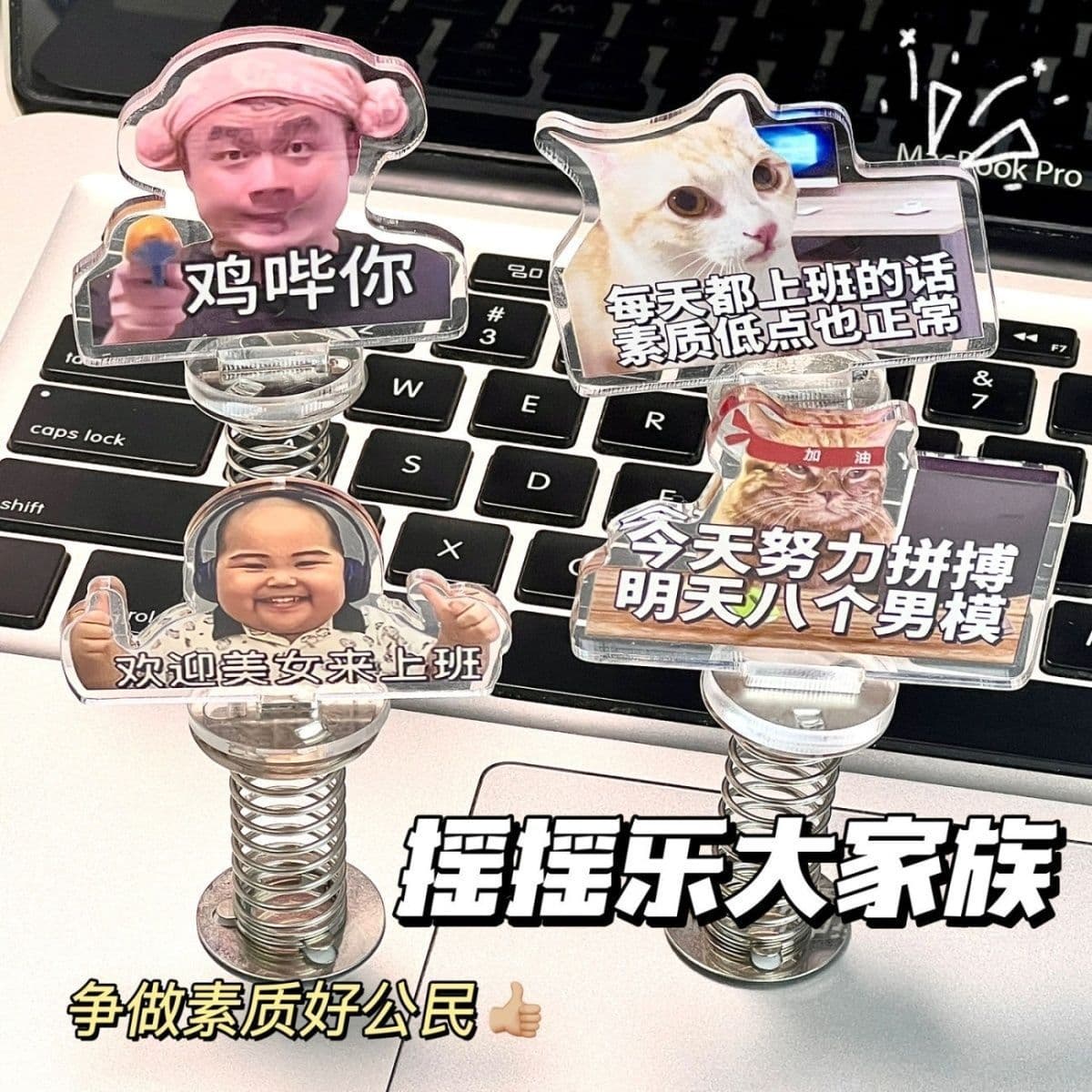 Cat emoji acrylic spring wobble desk ornament, new