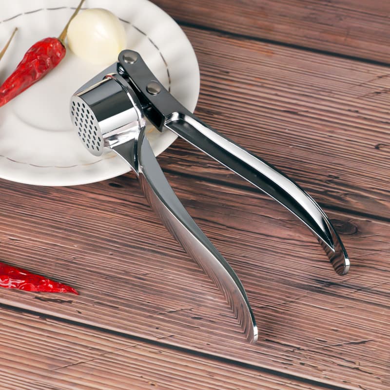 Stainless Steel Garlic Press