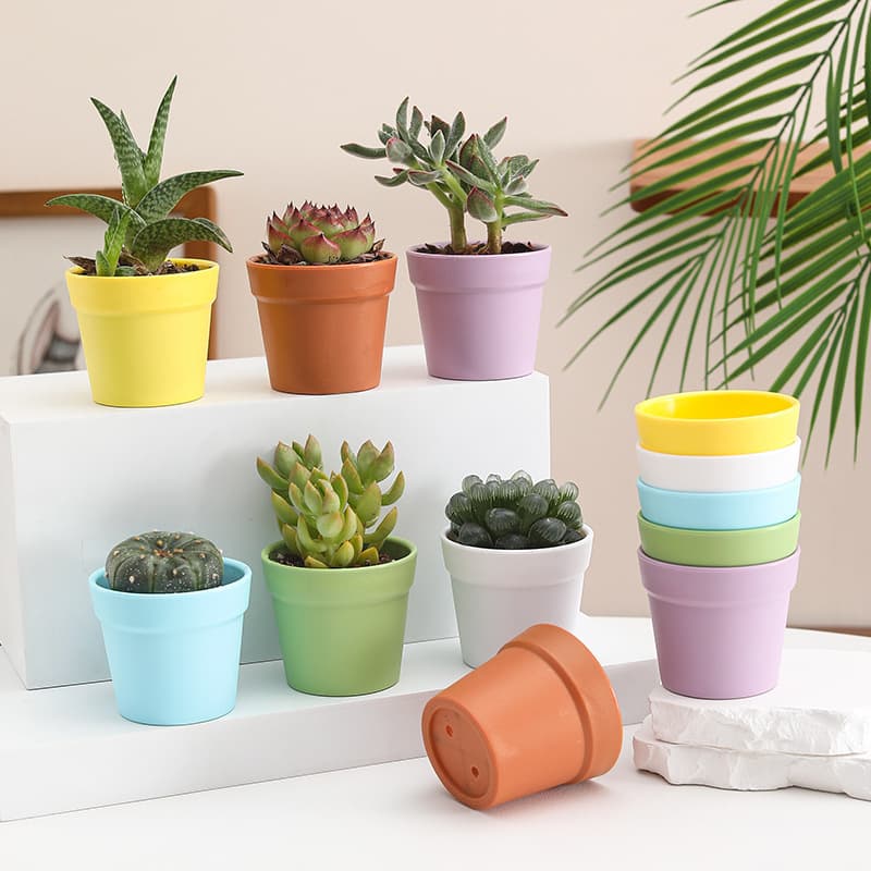 New Succulent Planting Pot, Thick Plastic Root-Control Pot, International Pot, Micro-Landscape Succulent Ornament