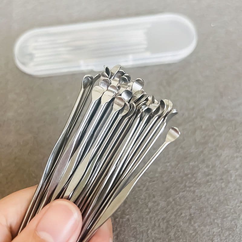Stainless Steel Ear Pick with Portable Storage Case, Traditional Ear Cleaner Tool for Adults and Children
