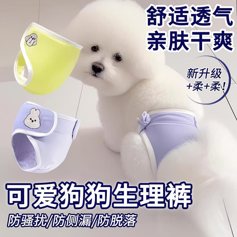 Dog sanitary pants for female dogs in heat, anti-harassment, disposable nappy for small dogs, Teddy and similar breeds