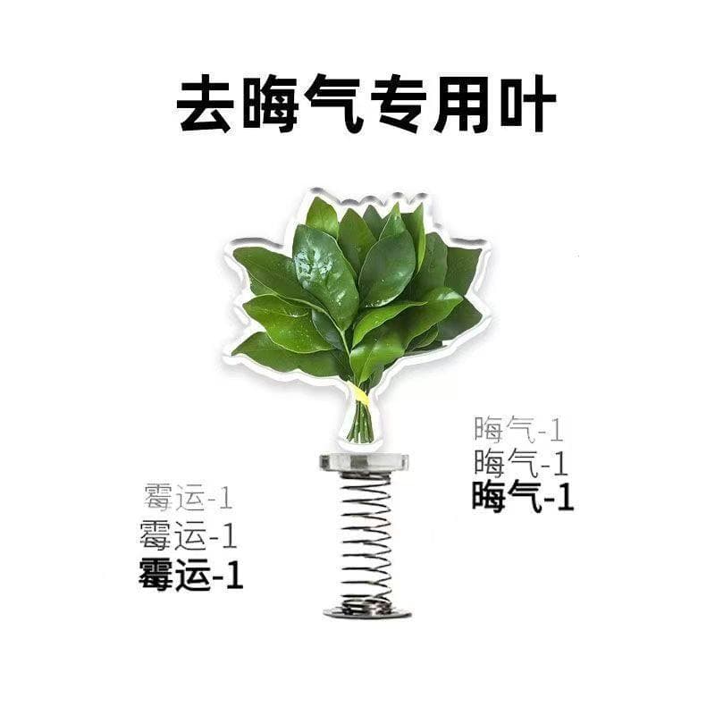 Pomelo Leaf Spring Rocking Desk Ornament – Acrylic Creative Desktop Decoration