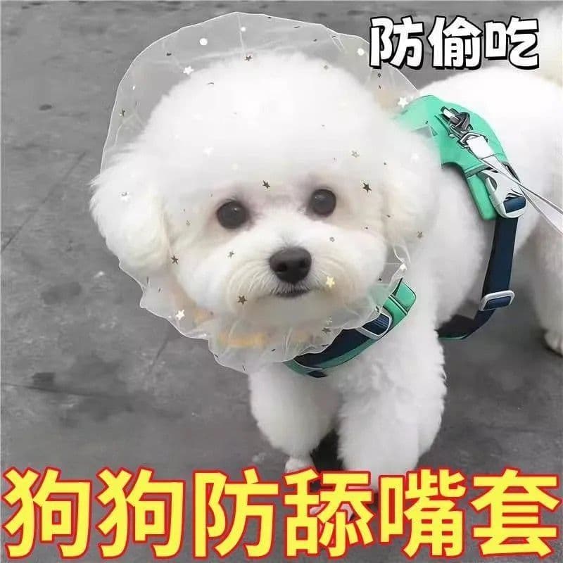 Anti-eating Mesh Dog Muzzle for Small Dogs, Teddy, Bichon, Anti-bite, Anti-ingestion, Licking Protector
