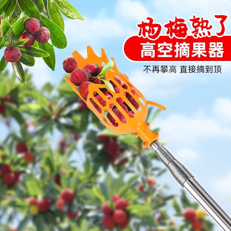 Telescopic Fruit Picker for Bayberry, Plum, Loquat, Jujube, Fig, Peach