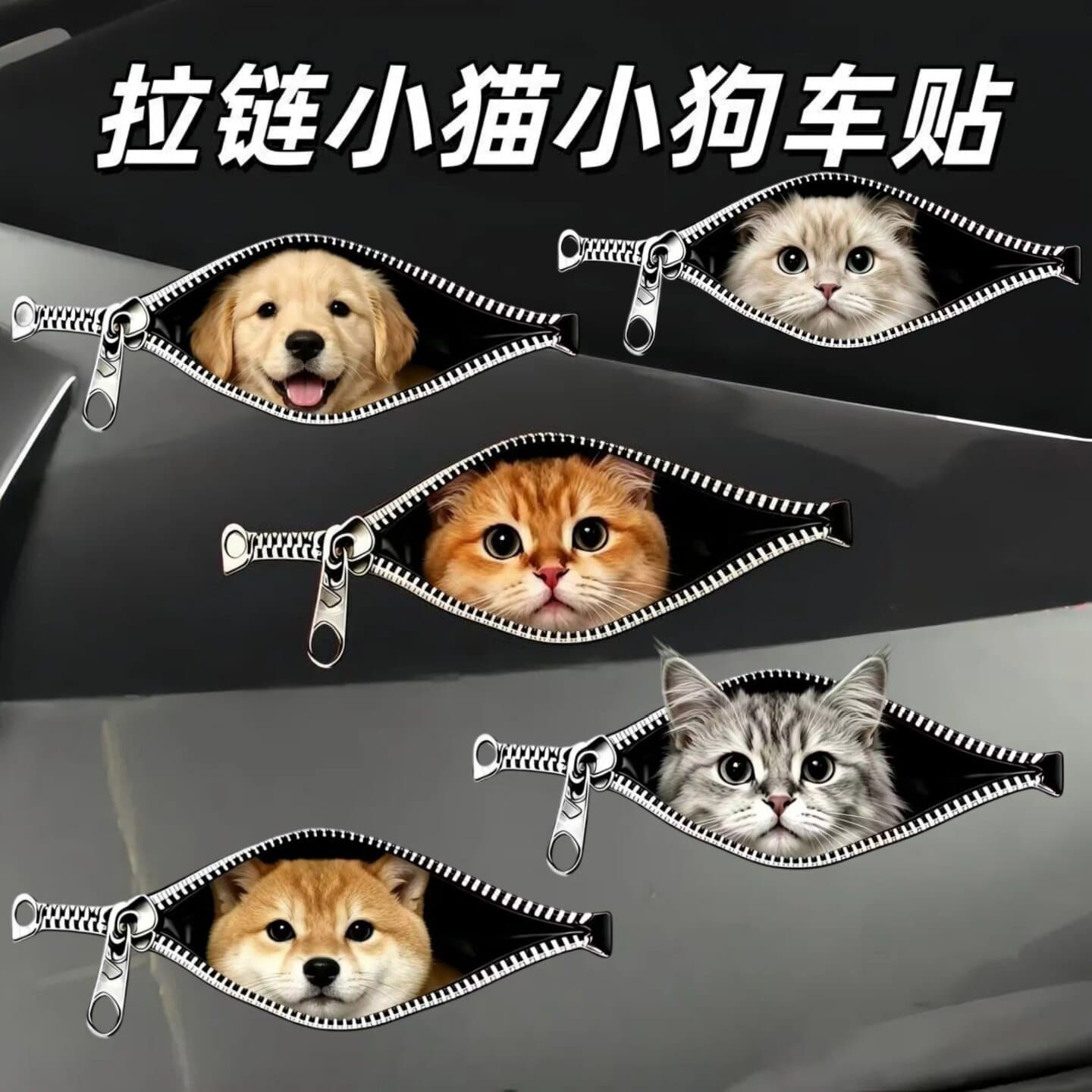 Cat zip car sticker decorative decal, scratch cover, cute cat design, home and car decor