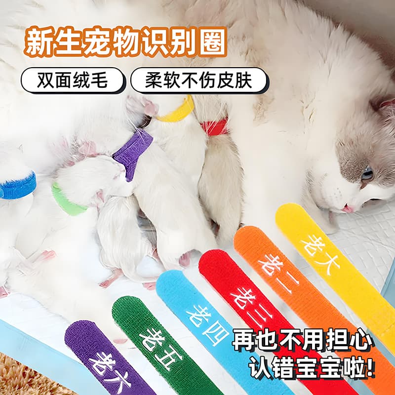 Newborn Pet Identification Collar for Kittens and Puppies, Cat Marking Neck Collar